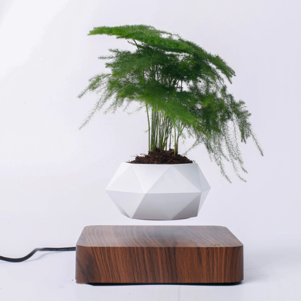 Levitating Plant Pot