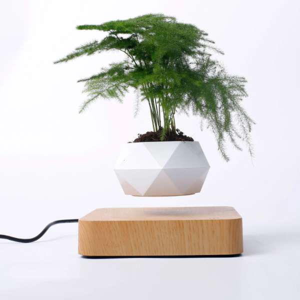 Levitating Plant Pot