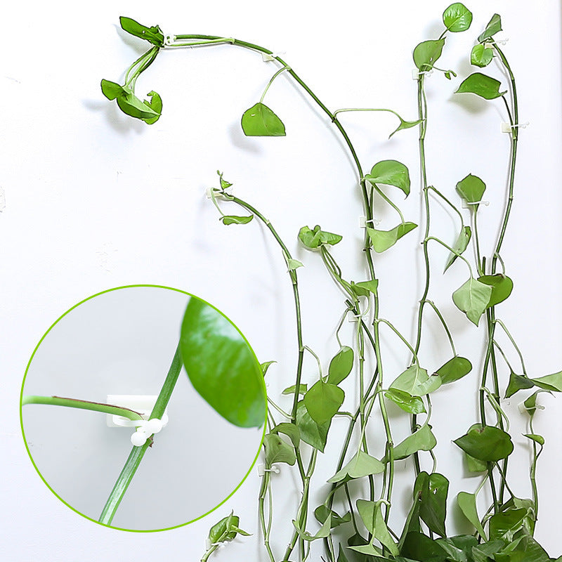 Self-Adhesive Plant Wall Clips (50pcs)