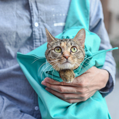 Pet Carrier Pouch