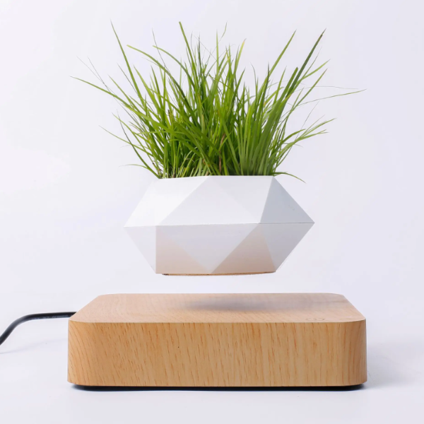 Levitating Plant Pot