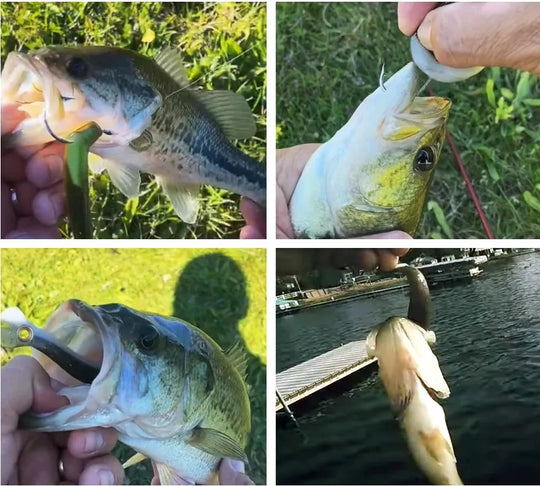 Fishing lure image
