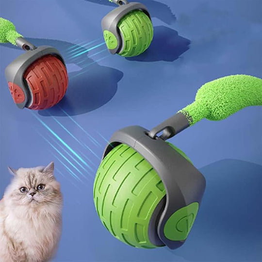 Cat Toy Image