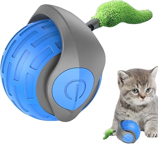 Cat Toy Image