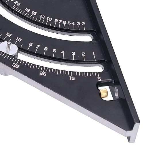 Measuring Ant With Ruler Angle Measurement Ruler – Tecnoant