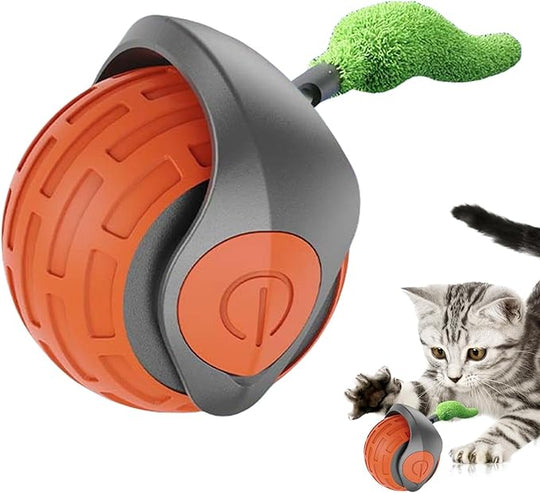 Cat Toy Image