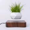 Levitating Plant Pot