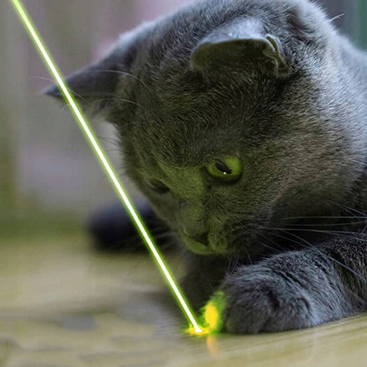 High-Power Green Laser Pointer – Tecnoant