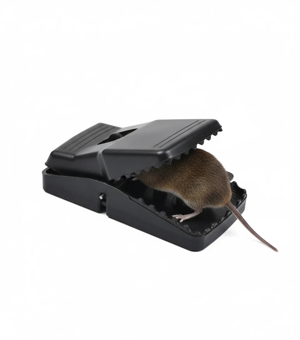 High-Sensitivity Mouse Traps (3pcs)