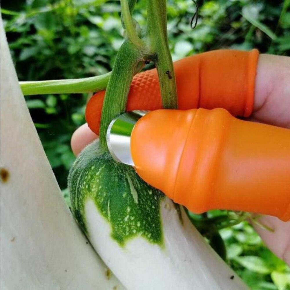 Garden Thumb Knife (Set of 2)