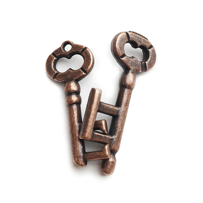 Metal Puzzles Set