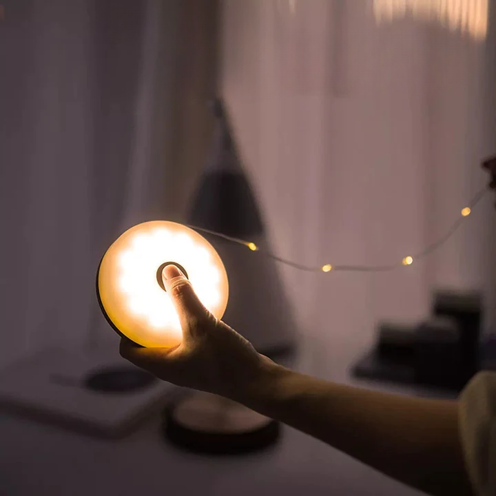 Firefly Portable String Light