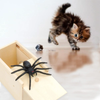 Spider Prank Box