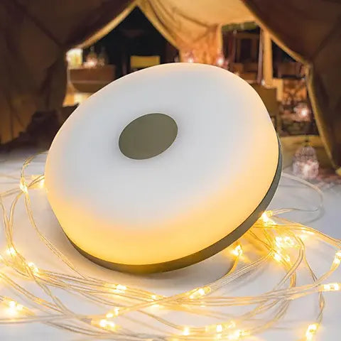 Firefly Portable String Light