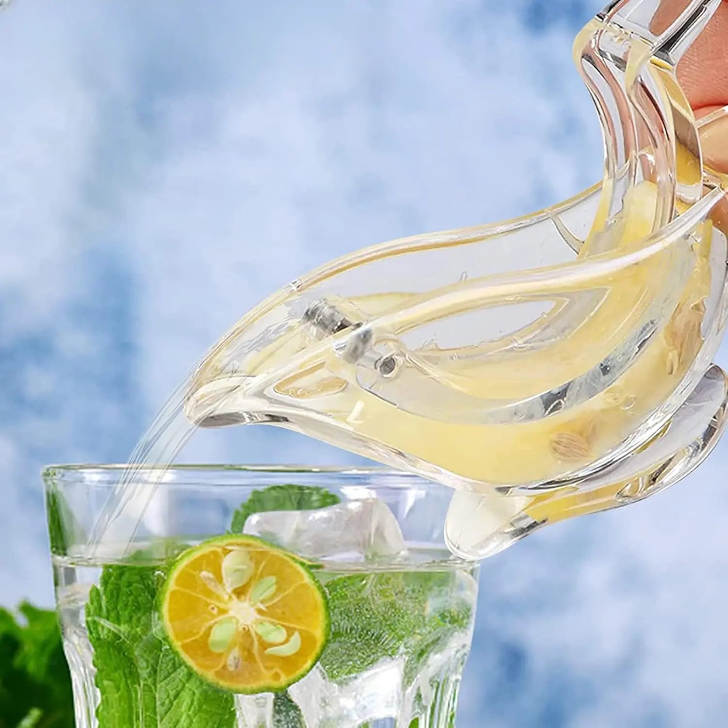 Manual Lemon Juicer