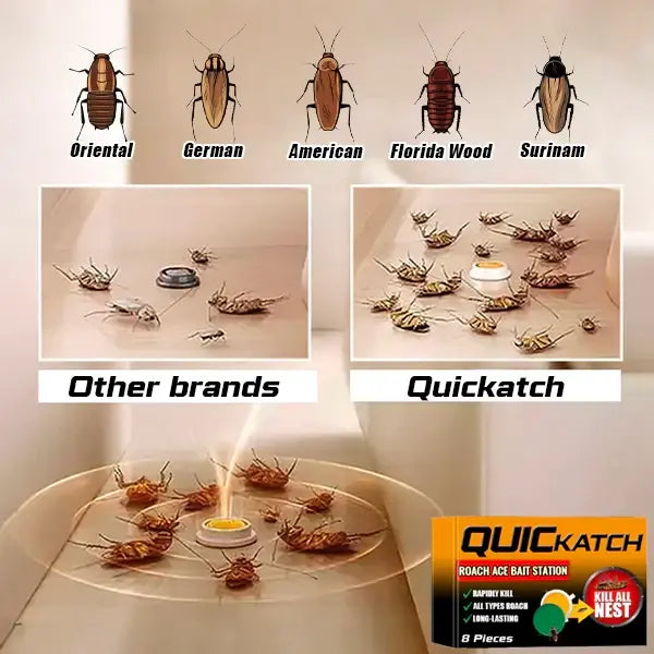 Cockroach Bait Station