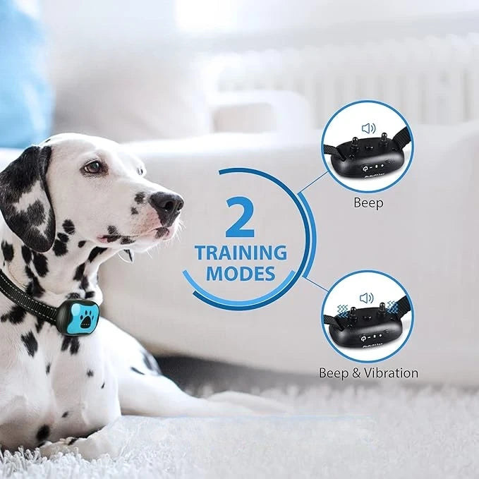 Anti-Bark Training Collar