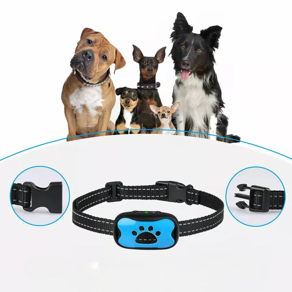 Anti-Bark Training Collar