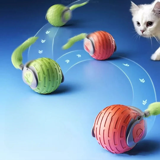 Cat Toy Image