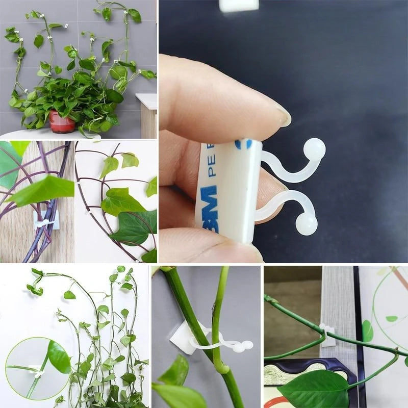 Self-Adhesive Plant Wall Clips (50pcs)