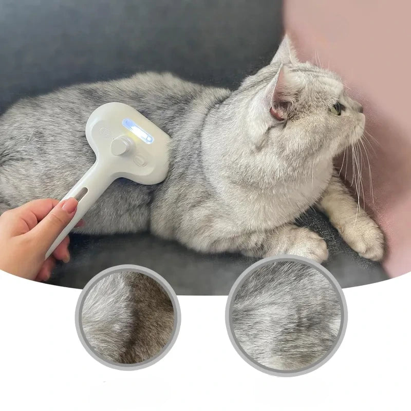 Rechargeable Steam Pet Brush