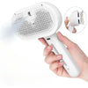 Rechargeable Steam Pet Brush