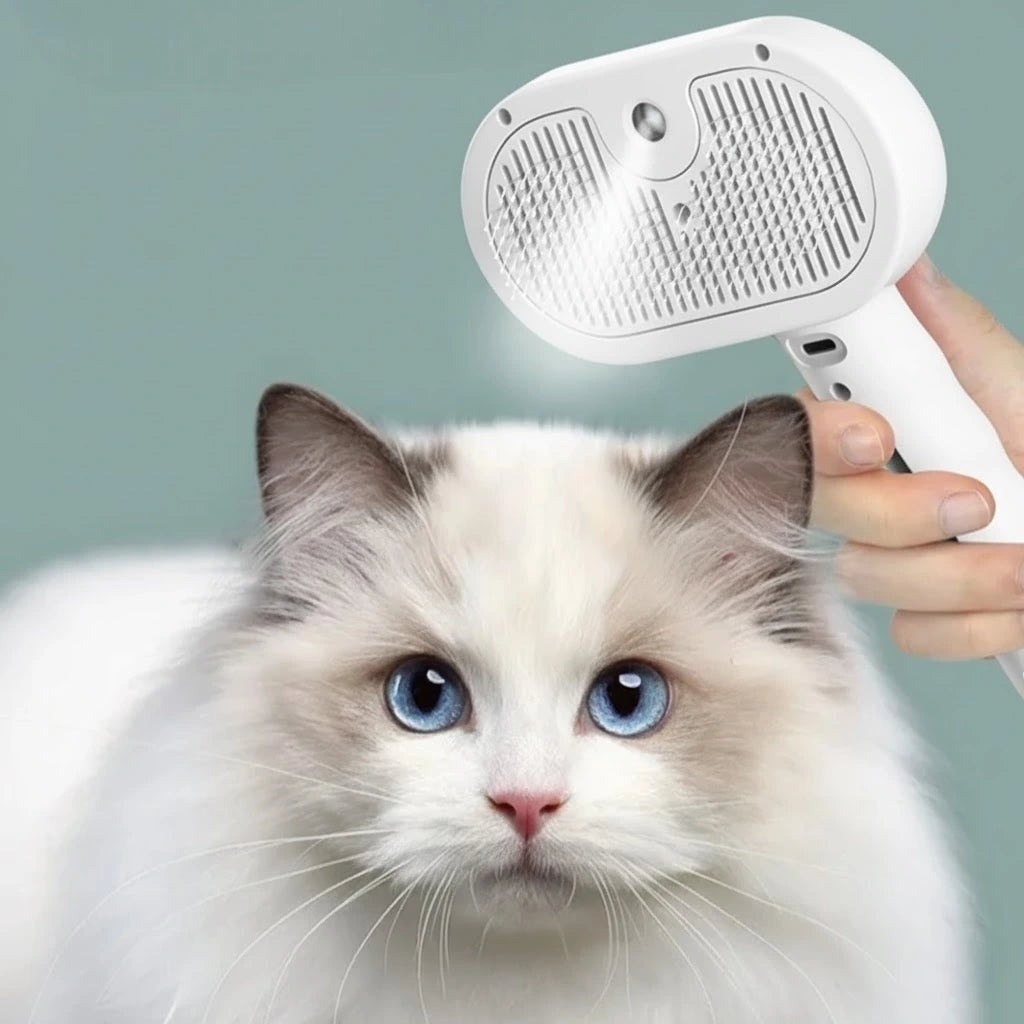 Rechargeable Steam Pet Brush