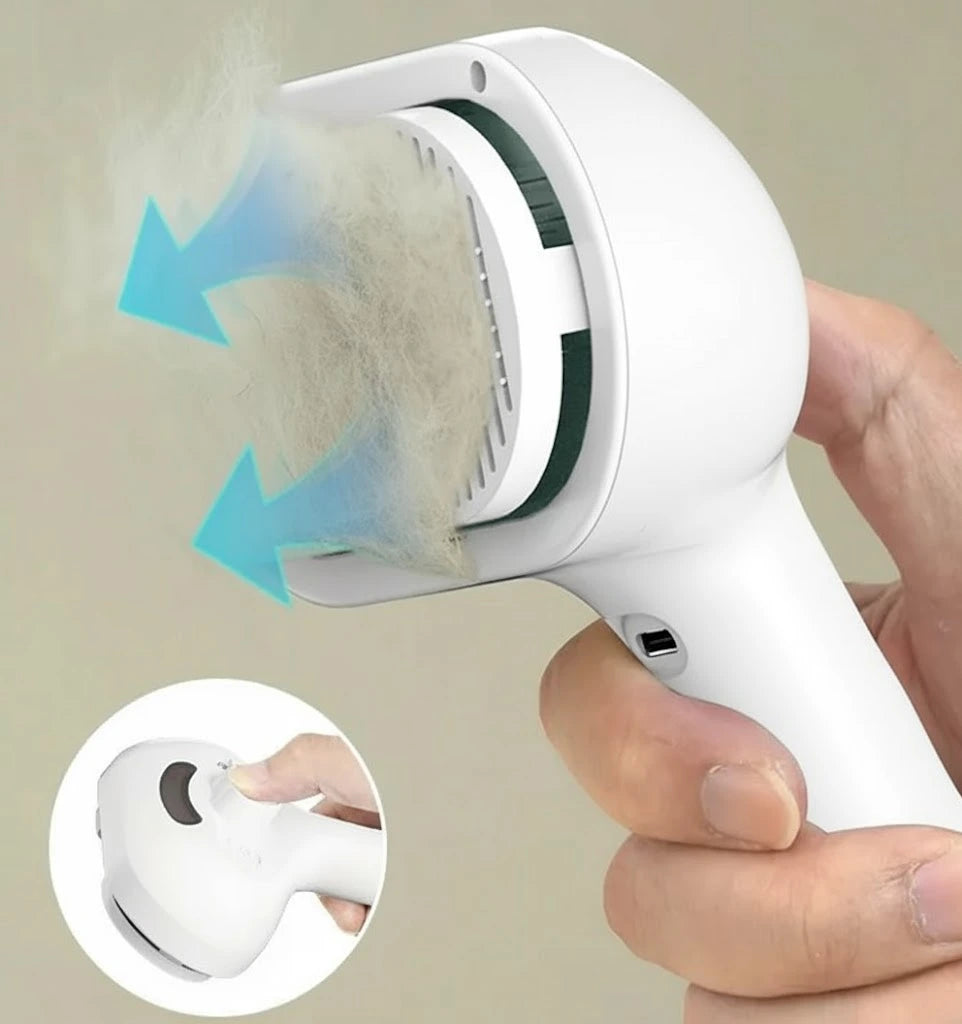 Rechargeable Steam Pet Brush