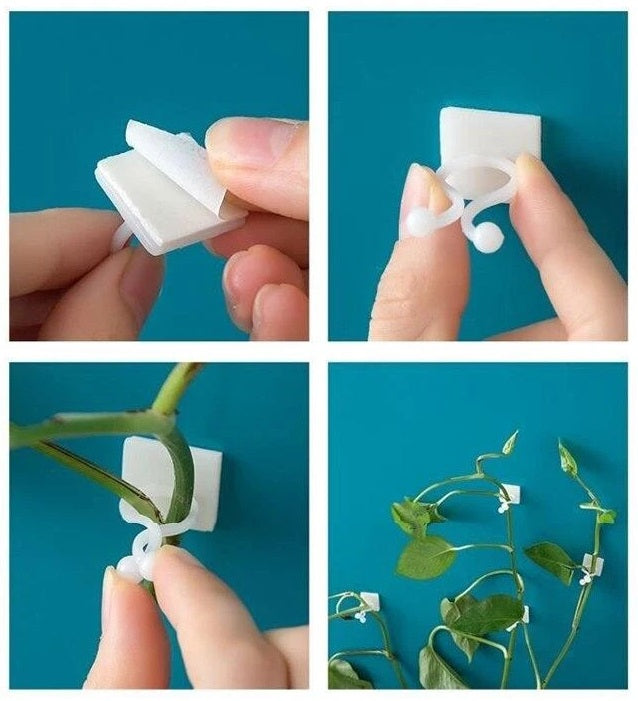 Self-Adhesive Plant Wall Clips (50pcs)