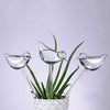 Self-Watering Plant Glass Bulbs (Set of 2)