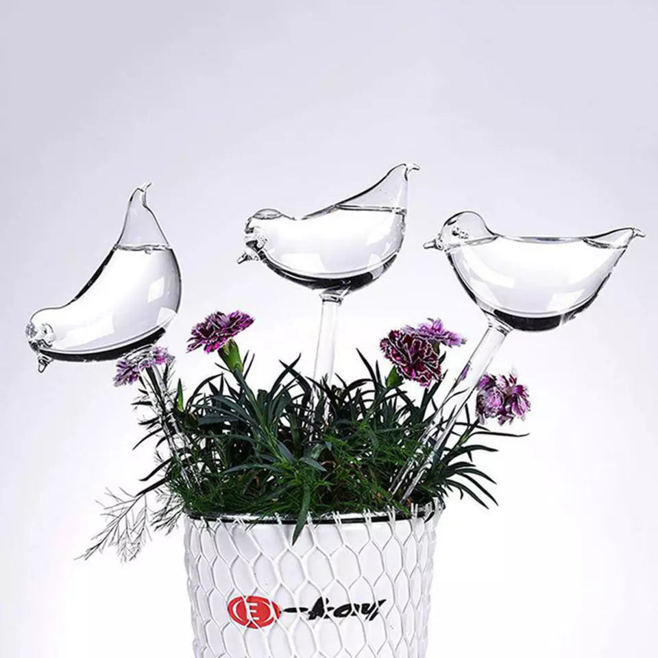 Self-Watering Plant Glass Bulbs (Set of 2)