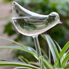 Self-Watering Plant Glass Bulbs (Set of 2)