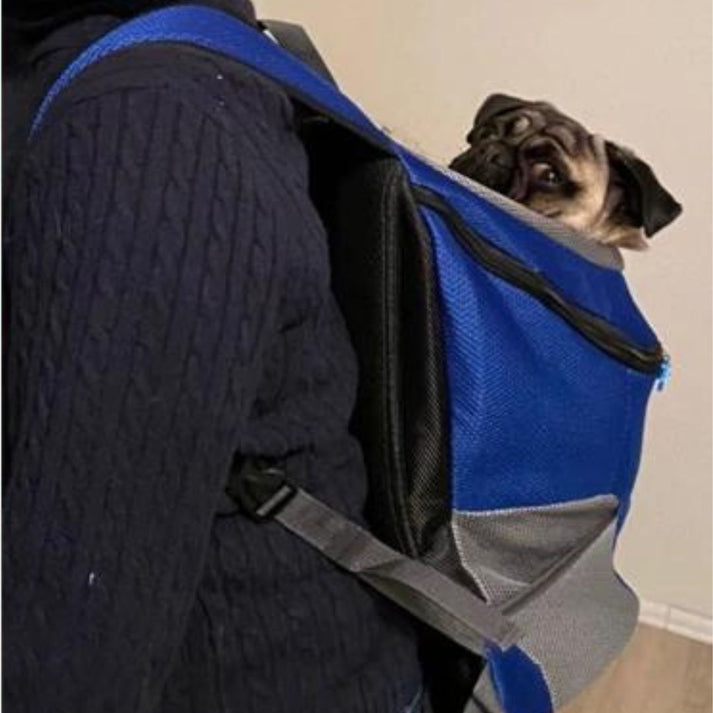 PawQuest Pet Carrier Backpack